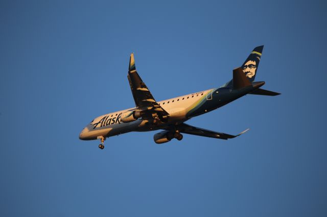 EMBRAER 175 (long wing) (N199SY)