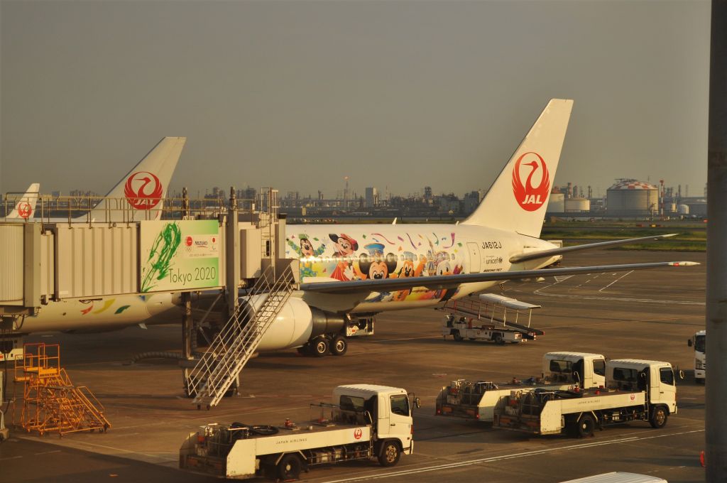 BOEING 767-300 (JA612J)