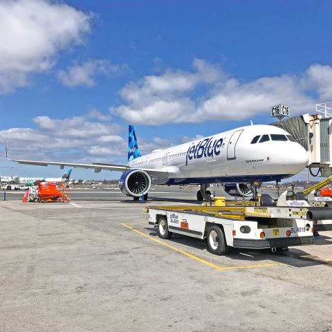 Airbus A321neo (N2002J) - David Neeleman