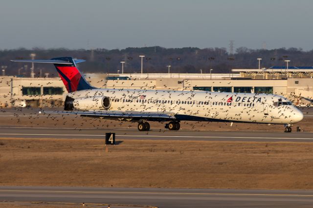 McDonnell Douglas MD-88 (N914DE) - You woke up the birds!!!