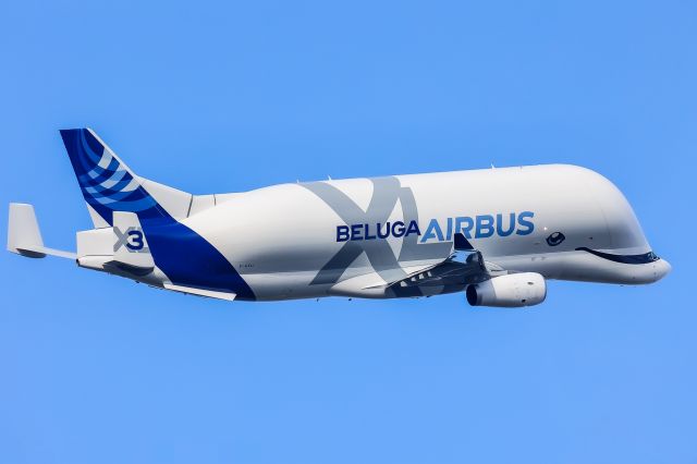 Airbus A330-300 (F-GXLI) - Premier passage à Nantes de ce Beluga  XL A330 700