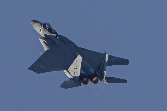 McDonnell Douglas F-15 Eagle (0733)