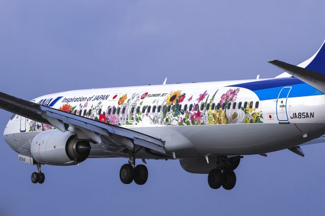 Boeing 737-800 (JA85AN)