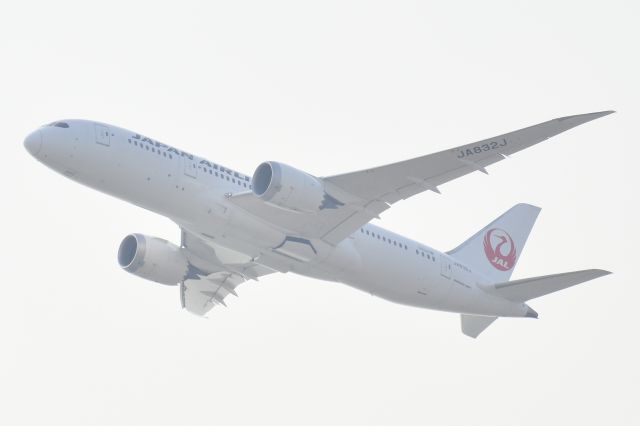 Boeing 787-8 (JA832J) - I was starting to Taipei