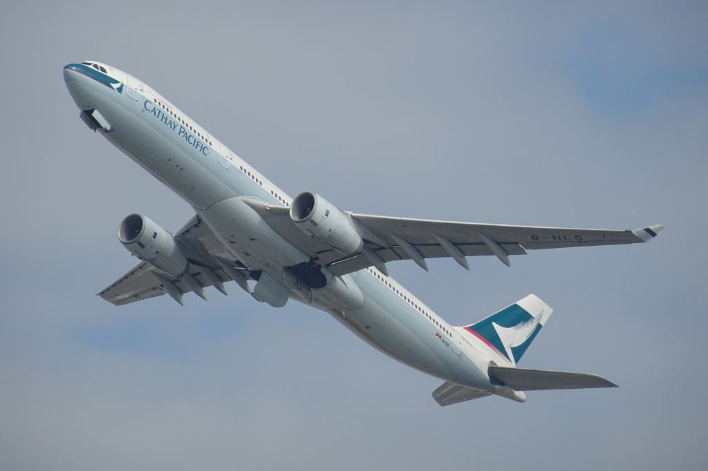 Airbus A330-300 (B-HLS)