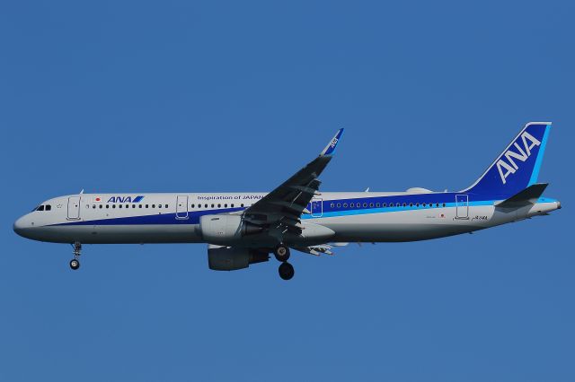 Airbus A321 (JA114A)