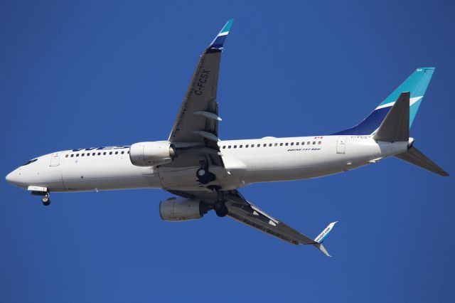Boeing 737-800 (C-FCSX)