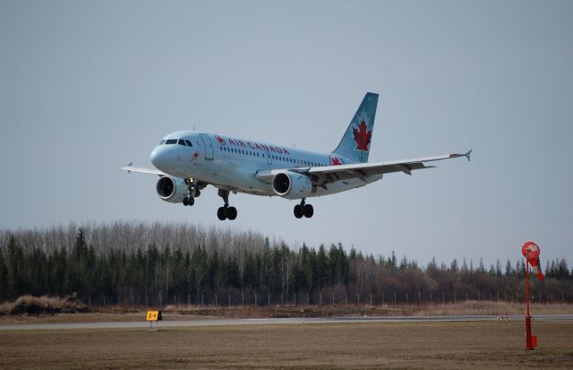 Airbus A319 (C-GBIP) - Arrival From Lester B Pearson International