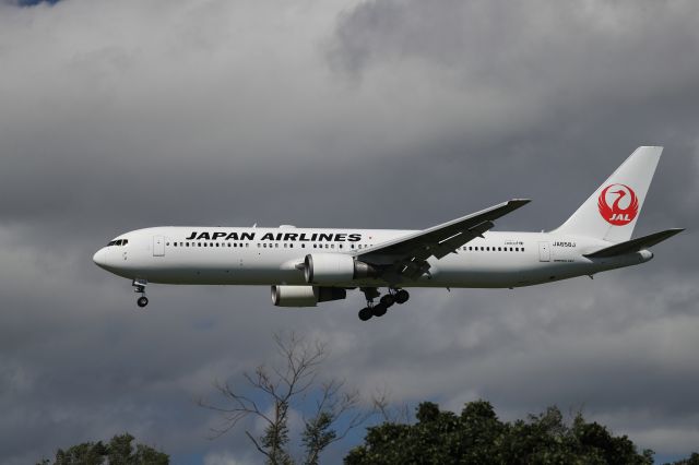 BOEING 767-300 (JA658J) - August 17th 2019:HND-HKD.