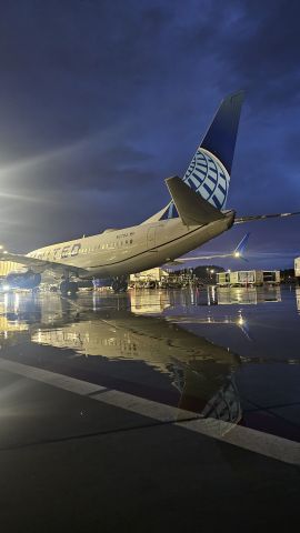 Boeing 737-700 (N12754) - Preparing the aircraft for push back out of T19 after a rain filled day