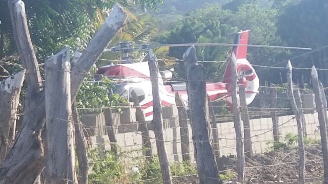 N400AH — - Pardon the lousy shot. We were returning from kiteboarding Dec. 16, 2018, when we spotted this beautiful bird in a vacant lot by the ocean in Buen Hombre, Dominican Republic.