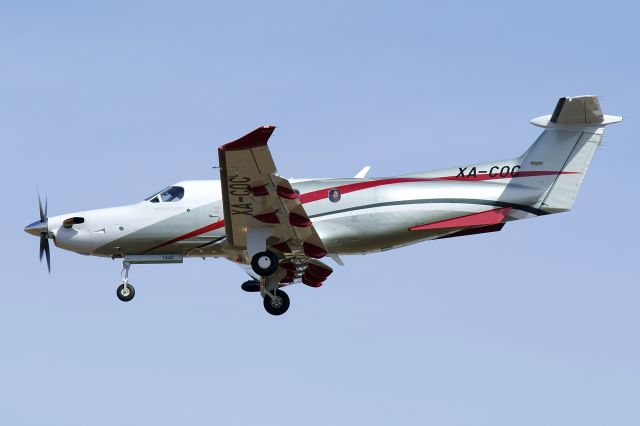 Pilatus PC-12 (XA-COC) - Someone looking out the back window.