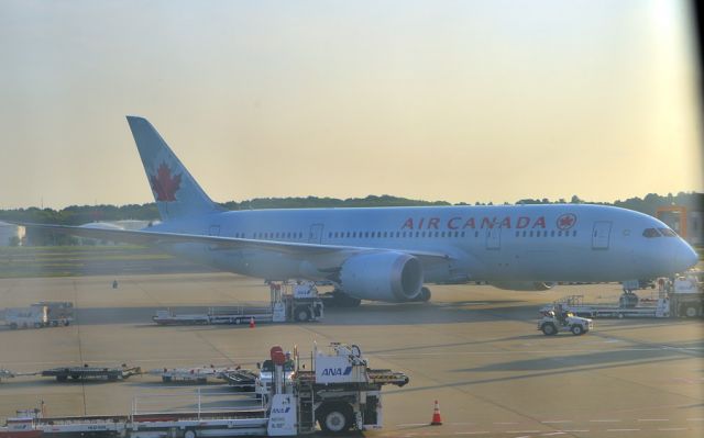 Boeing 787-8 (C-GHPT) - Pity Singapore Airlines does not clean the windows of their A380s....