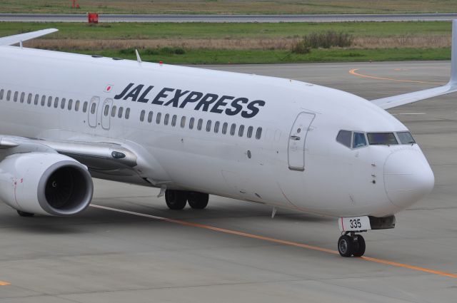 Boeing 737-800 (JA335J)