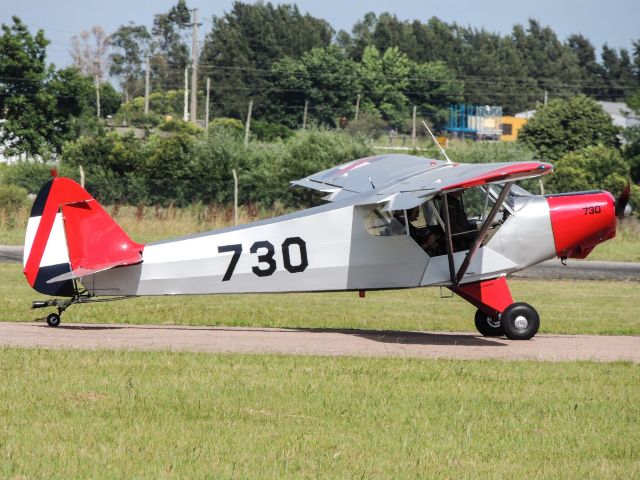 Piper L-21 Super Cub (FAU730)