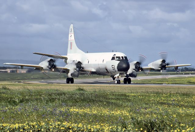 A9751 — - AUSTRALIA - AIR FORCE - LOCKHEED AP-3C ORION - REG A9-751 (CN 285D-5657) - EDINBURGH RAAF BASE ADELAIDE SA. AUSTRALIA - YPED (23/9/1984)35MM SLIDE SCANNED AT 6400 DPI.