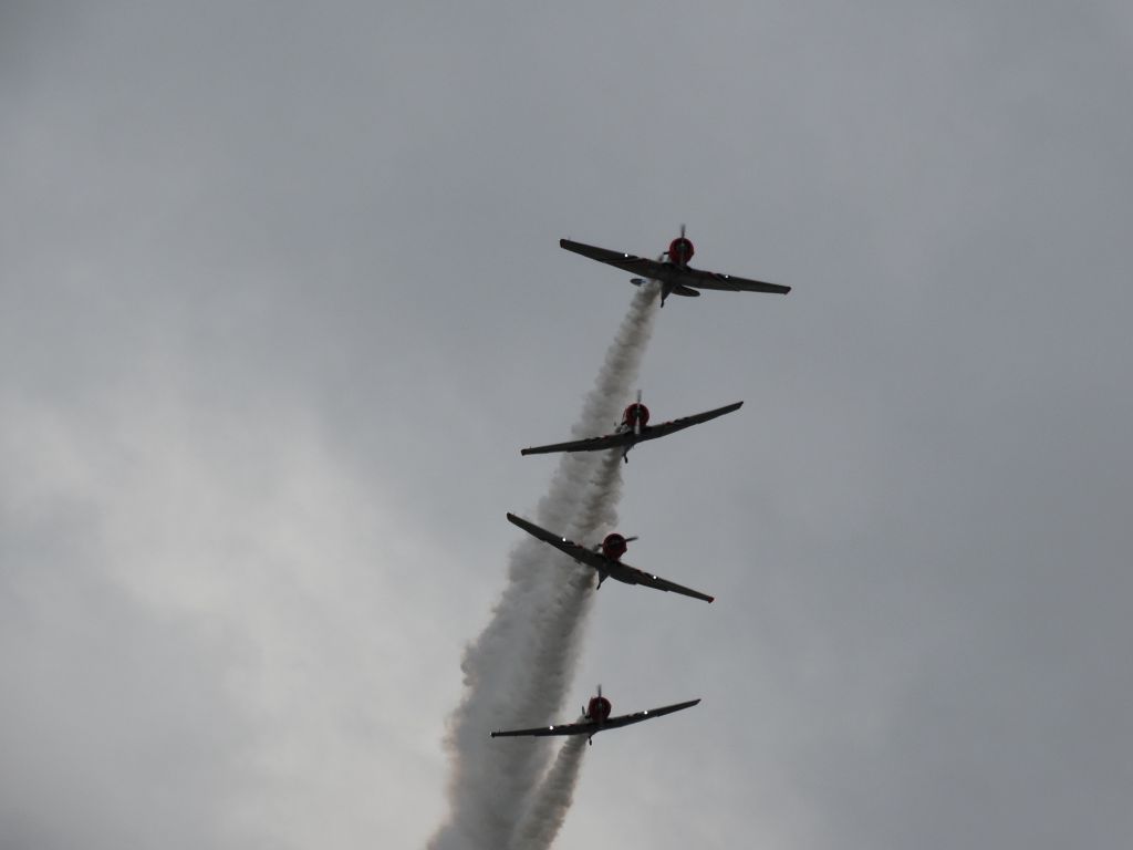 — — - North American T-6 Texan - GEICO Skytypers Airshow Team