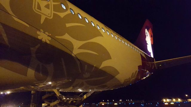 Airbus A330-200 (N361HA)