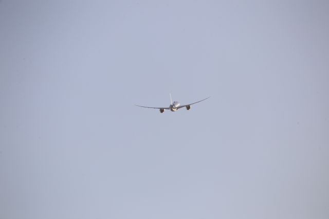 Boeing 787-9 Dreamliner (N29975)