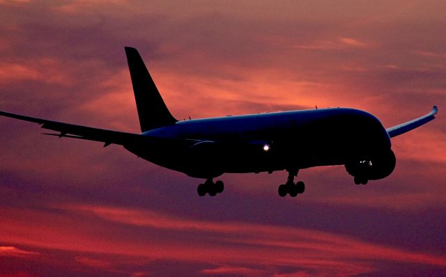 Boeing 787-8 — - This dusk photo of a British Airways 787-8 is, in my opinion, an eye-catcher.