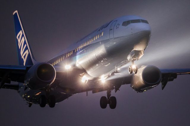 Boeing 737-800 (JA65AN) - In the heavy rain