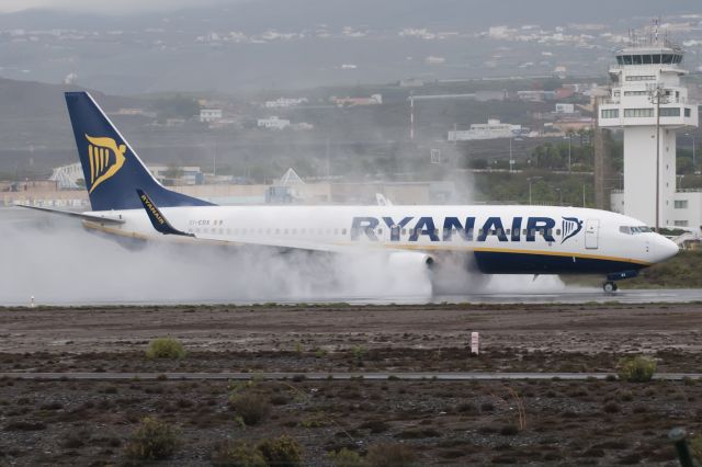 Boeing 737-800 (EI-EBX)