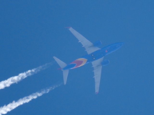 Boeing 737-700 (N442WN)