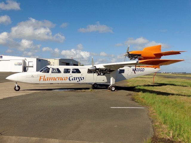 PILATUS BRITTEN-NORMAN Trislander (N920GD)