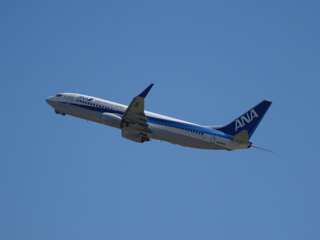 Boeing 737-800 (JA54AN)