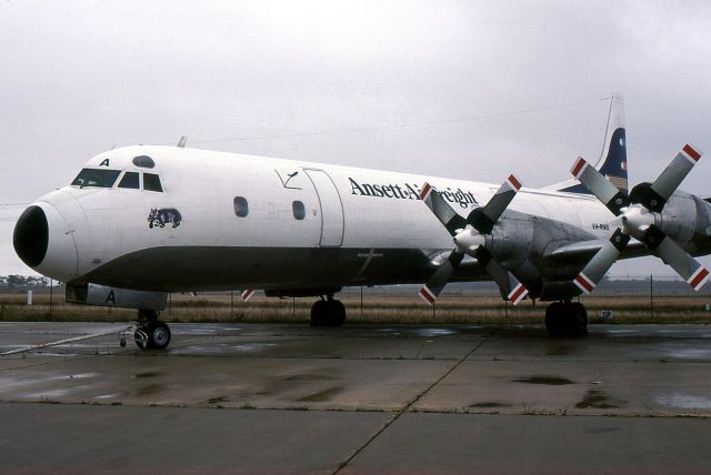 Lockheed L-188 Electra (VH-RMA) - Ansett Air Cargo Electra VH-RMA at Melbourne Airport in April 1984.