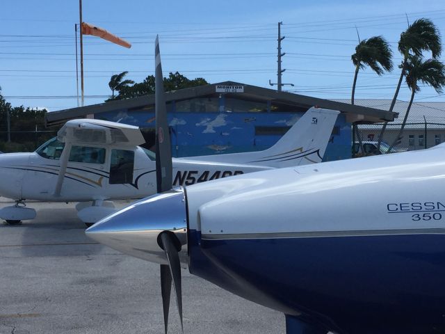 Cessna 350 (N1443T)