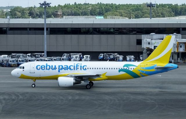 Airbus A320 (RP-C3264) - Taxing at NRT (2016/08/31)