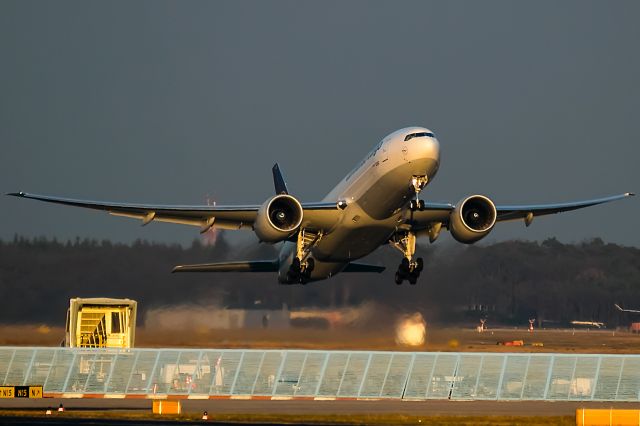 Boeing 777-200 (D-ALFD) - evening sun