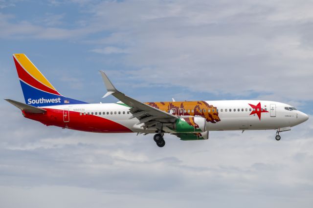 Boeing 737-800 (N8653A) - California One landing 13R