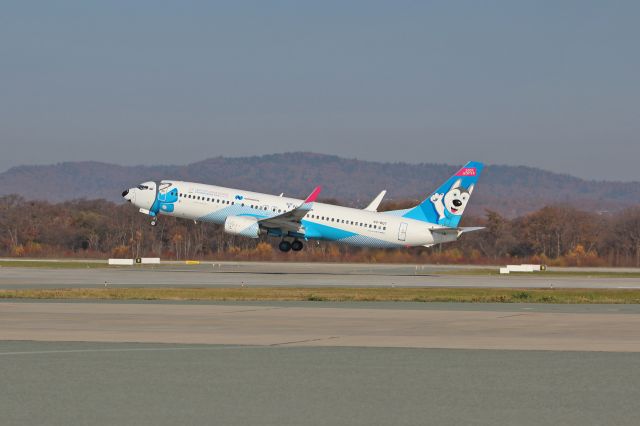 Boeing 737-800 (VQ-BQT)