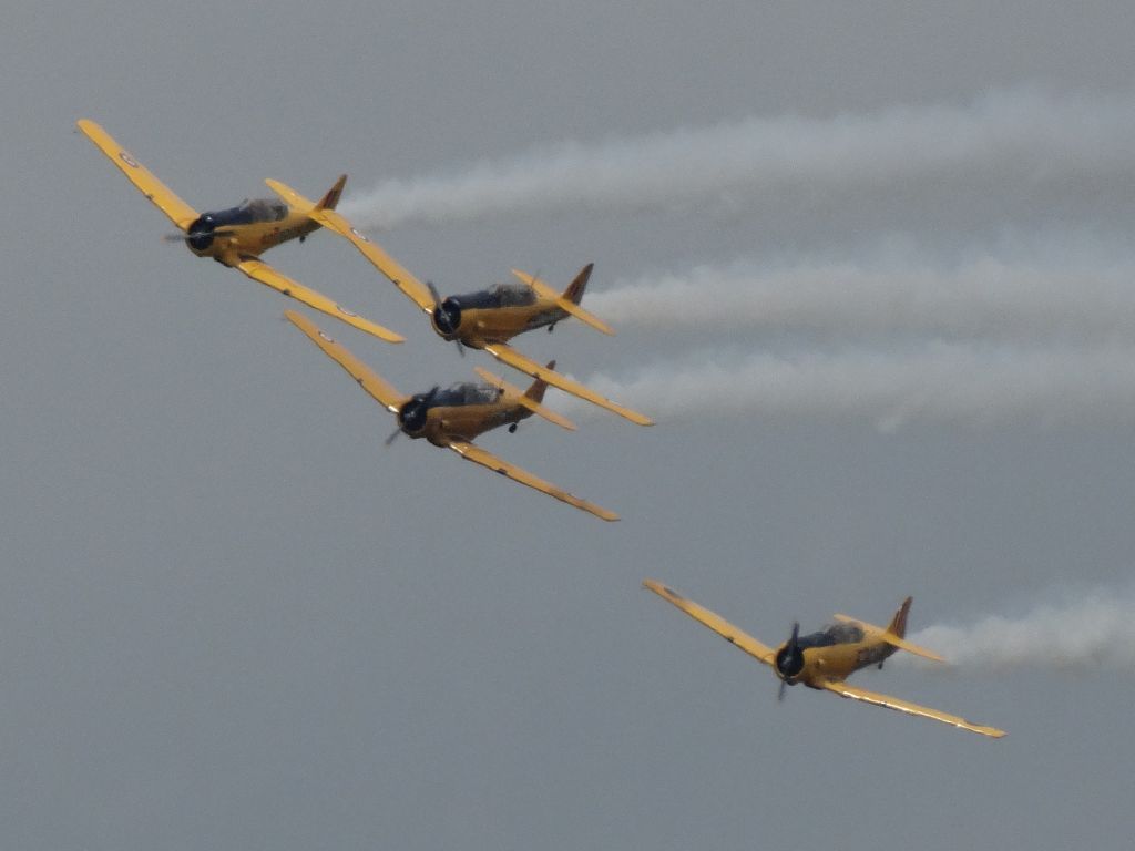 North American T-6 Texan (C-FFBD)