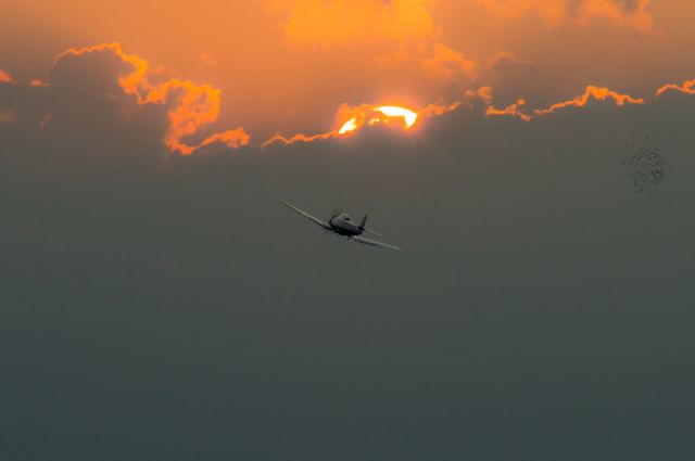 — — - PZL TS-8 Bies. August 2017 Radom airport , Poland.