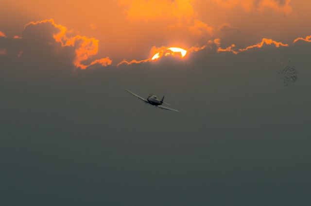 — — - PZL TS-8 Bies. August 2017 Radom airport , Poland.