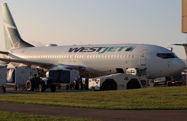Boeing 737-800 (C-FWVJ)