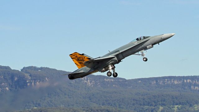 McDonnell Douglas FA-18 Hornet — - Wings over Illawarra 2017 Australia.