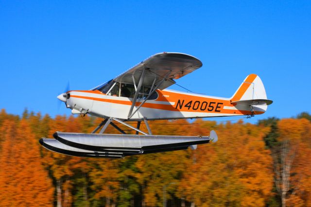 Piper L-21 Super Cub (N4005E)