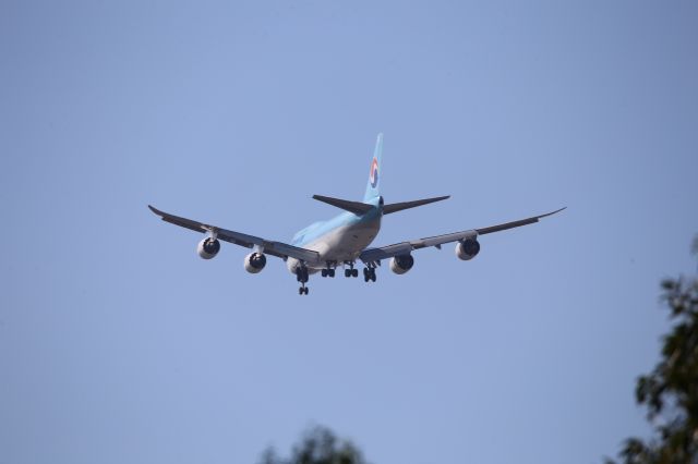 BOEING 747-8 (HL7636)