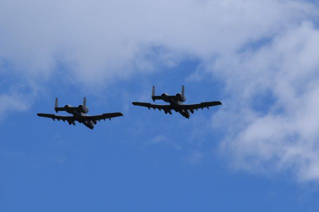 Fairchild-Republic Thunderbolt 2 (AFR80149) - A-10 Warthogs seen at Vero Beach Airshow 74FS WFFT 25JUN16