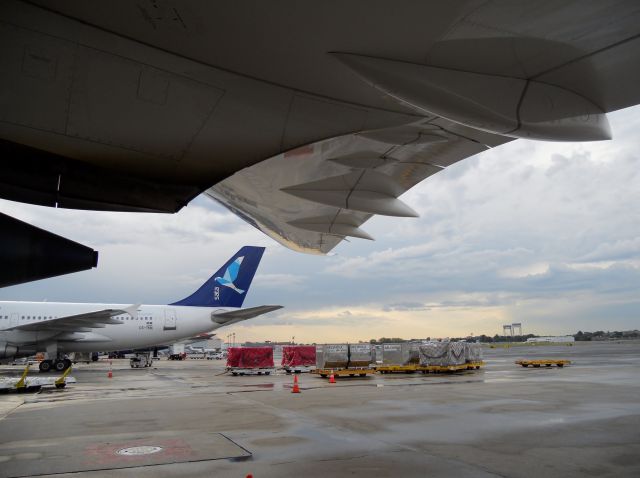 Airbus A310 (CS-TKN) - SATA ! !