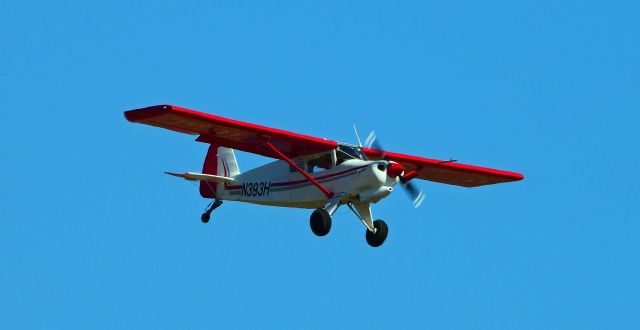 R & B Bearhawk Patrol (N393H)