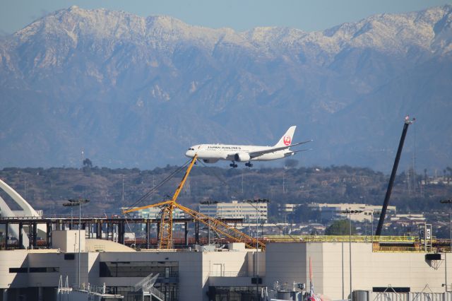 Boeing 787-8 (JA845J)