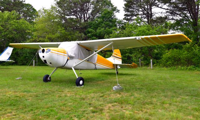 Cessna 170 (N3116A) - Cessna 170B N3116A in Cape Cod Airfield 