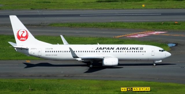 Boeing 737-800 (JA307J)