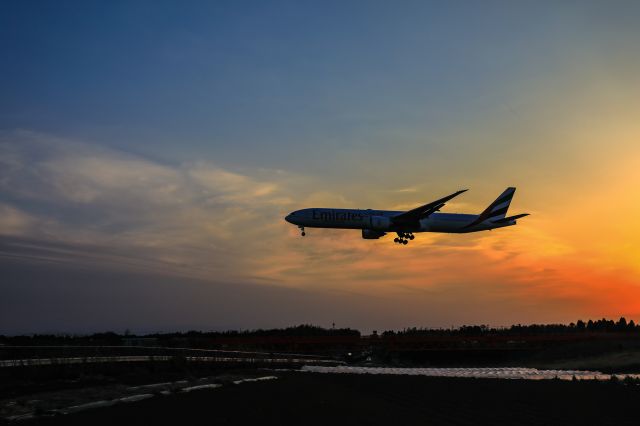 BOEING 777-300ER (A6-ECA)