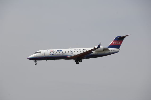 Canadair Regional Jet CRJ-200 (JA03RJ) - Final Approach to Narita Intl Airport R/W16L on 2011/5/9 Gannbarou! Touhoku Title